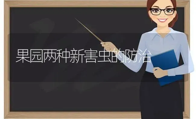 果园两种新害虫的防治 | 瓜果种植