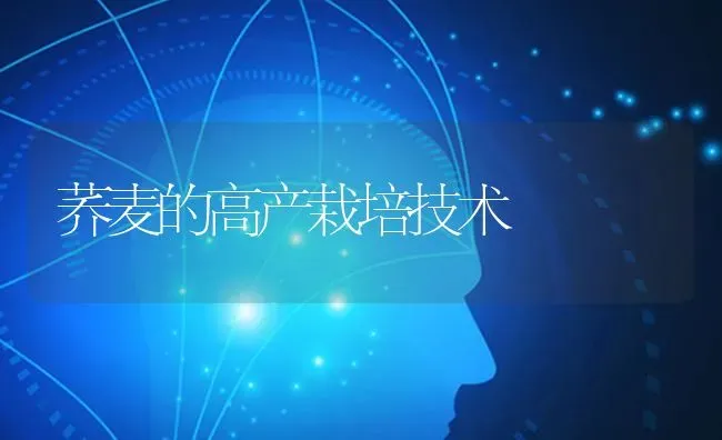 荞麦的高产栽培技术 | 粮油作物种植