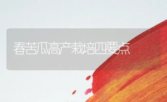 春苦瓜高产栽培四要点 | 蔬菜种植