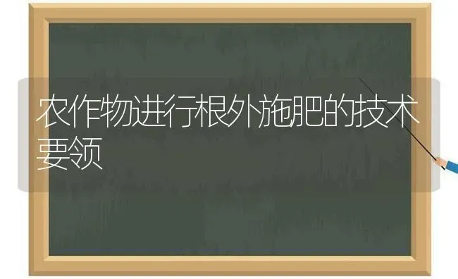 农作物进行根外施肥的技术要领 | 种植肥料施肥