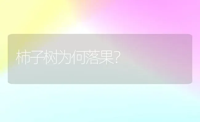 柿子树为何落果？ | 瓜果种植