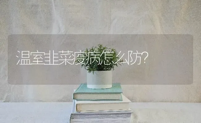 温室韭菜疫病怎么防？ | 蔬菜种植