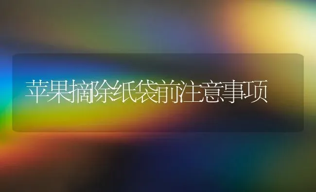 苹果摘除纸袋前注意事项 | 瓜果种植