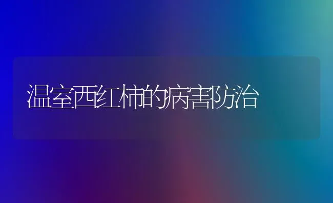 温室西红柿的病害防治 | 蔬菜种植