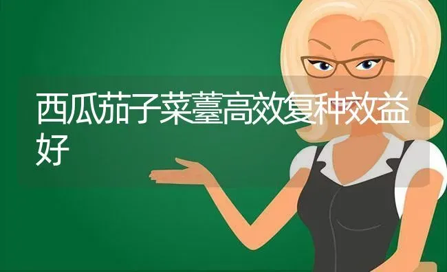 西瓜茄子菜薹高效复种效益好 | 瓜果种植