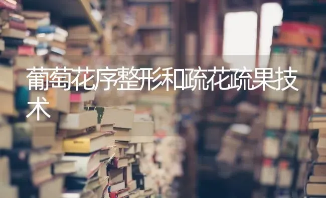 葡萄花序整形和疏花疏果技术 | 瓜果种植