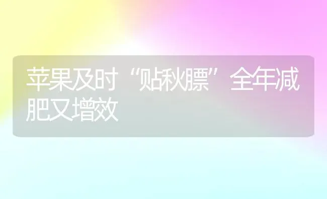 苹果及时“贴秋膘”全年减肥又增效 | 瓜果种植