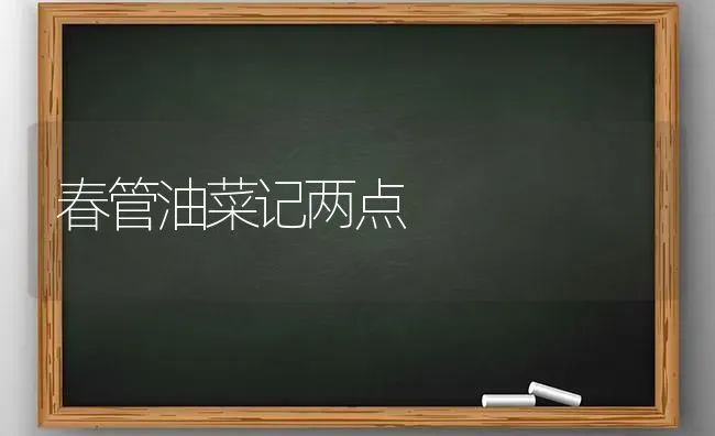 春管油菜记两点 | 粮油作物种植