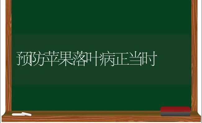 预防苹果落叶病正当时 | 瓜果种植