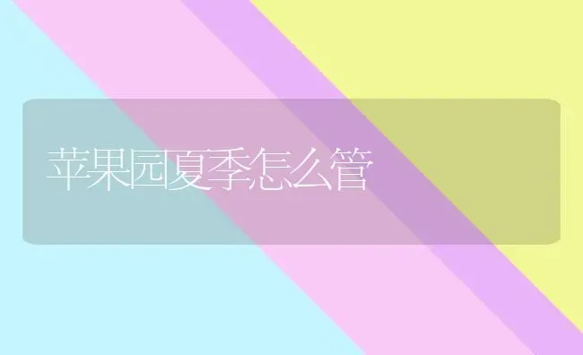 苹果园夏季怎么管 | 瓜果种植