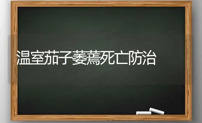 温室茄子萎蔫死亡防治 | 蔬菜种植