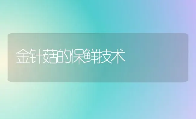 金针菇的保鲜技术 | 食用菌种植