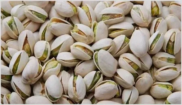 开心果的种植条件及培育方法 | 养殖技术