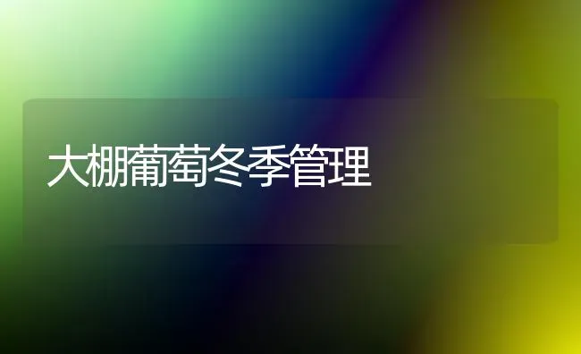 大棚葡萄冬季管理 | 瓜果种植