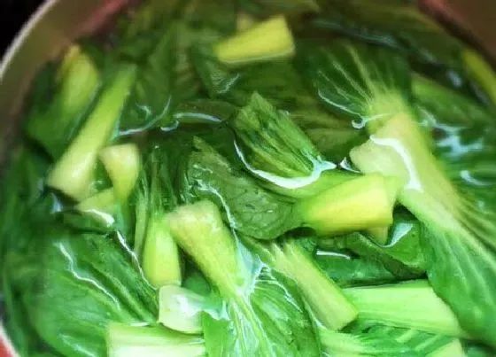营养价值|油菜和什么不能一起吃