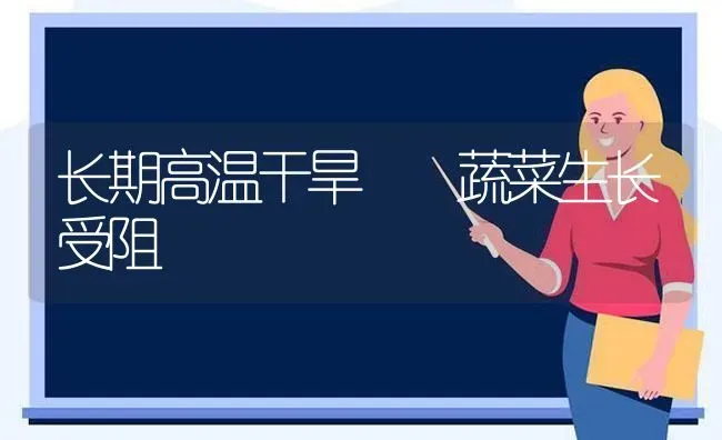 长期高温干旱  蔬菜生长受阻 | 蔬菜种植