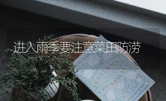 进入雨季要注意菜田防涝 | 蔬菜种植