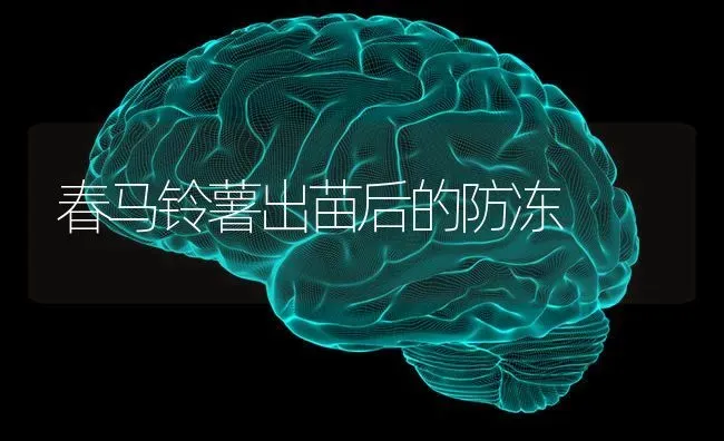 春马铃薯出苗后的防冻 | 粮油作物种植