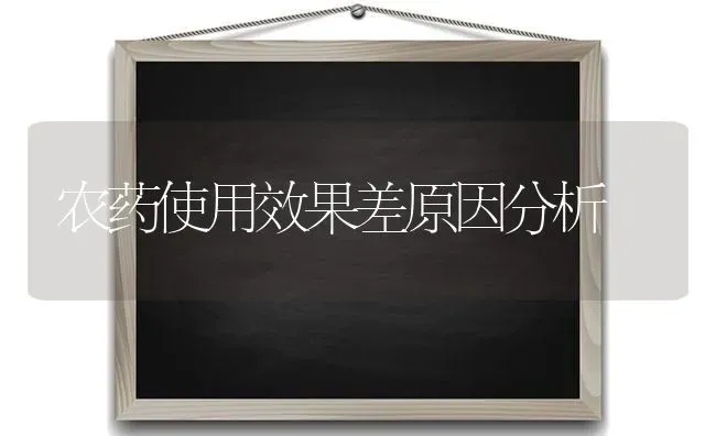 农药使用效果差原因分析 | 瓜果种植