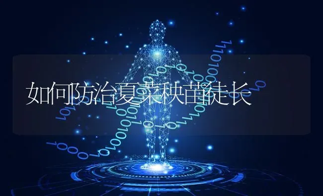 如何防治夏菜秧苗徒长 | 蔬菜种植