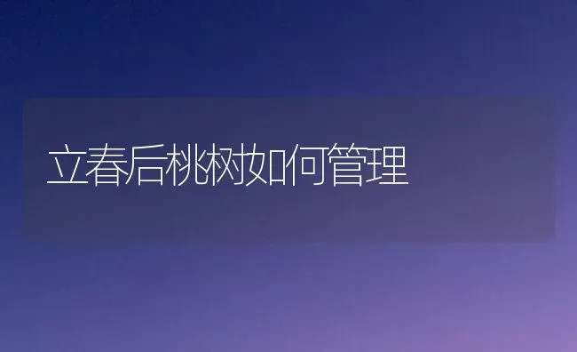 立春后桃树如何管理 | 瓜果种植