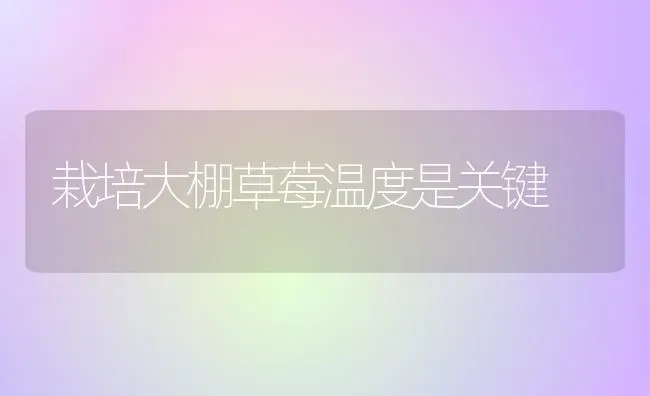 栽培大棚草莓温度是关键 | 瓜果种植