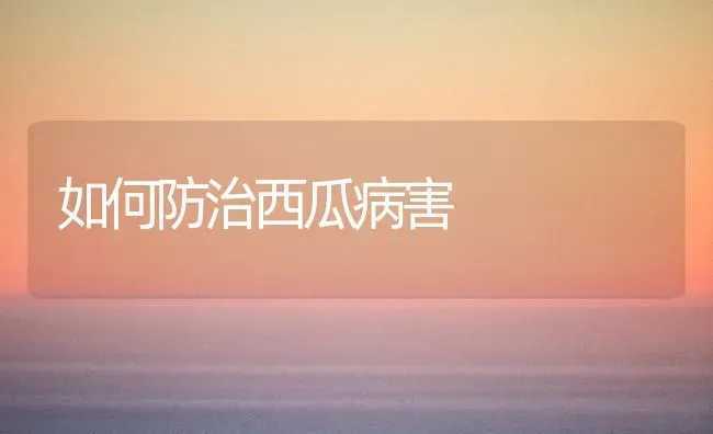 如何防治西瓜病害 | 瓜果种植