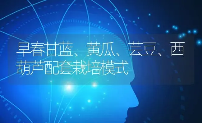 早春甘蓝、黄瓜、芸豆、西葫芦配套栽培模式 | 蔬菜种植