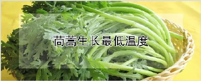 茼蒿生长最低温度 | 种植技术