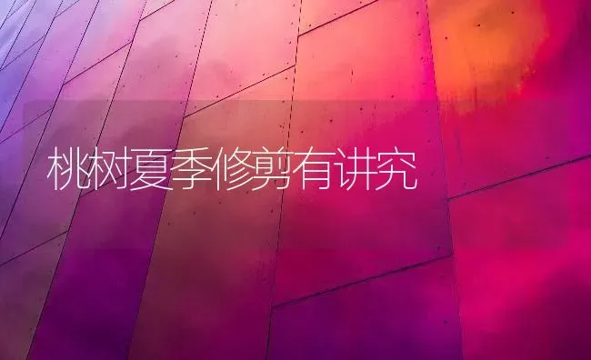 桃树夏季修剪有讲究 | 瓜果种植