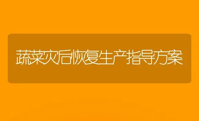 蔬菜灾后恢复生产指导方案 | 蔬菜种植