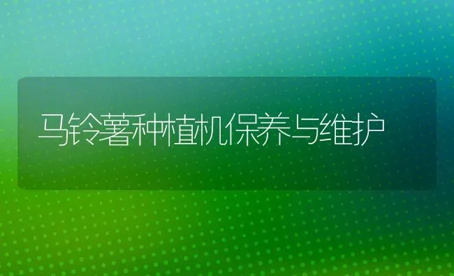 马铃薯种植机保养与维护 | 植物种植百科