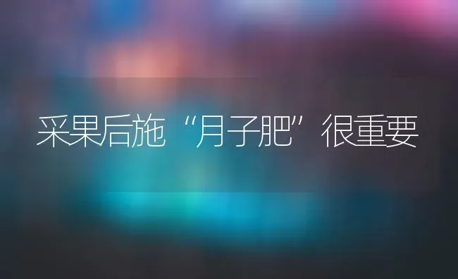 蔬菜防止早衰的五个技术要点 | 蔬菜种植
