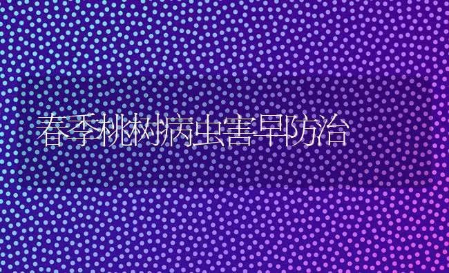春季桃树病虫害早防治 | 种植病虫害防治