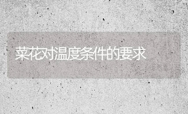 菜花对温度条件的要求 | 蔬菜种植