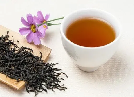 植物产地|红茶哪里产的最好