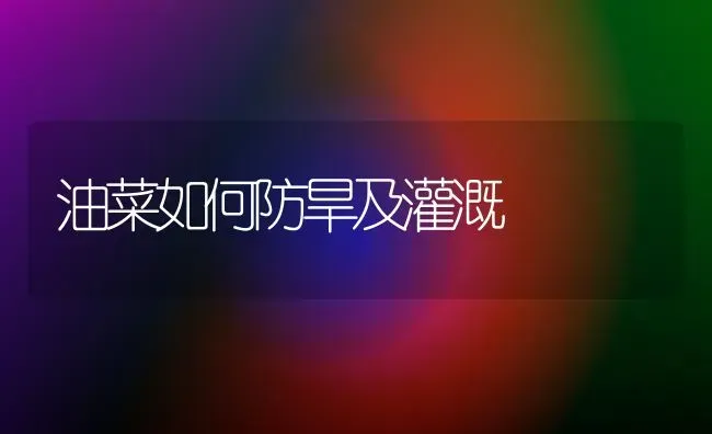 油菜如何防旱及灌溉 | 粮油作物种植