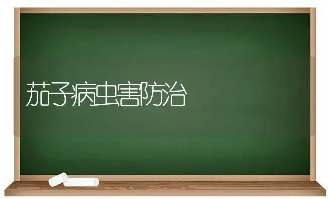 茄子病虫害防治 | 种植病虫害防治