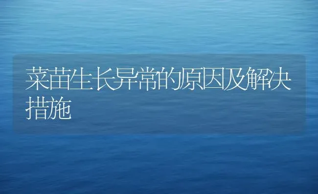 菜苗生长异常的原因及解决措施 | 蔬菜种植