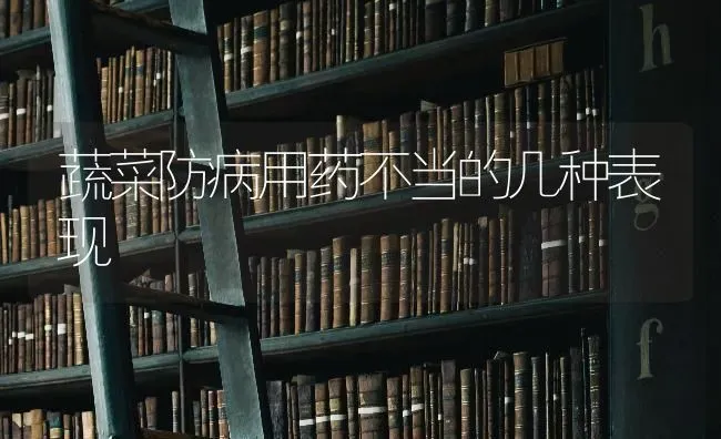 蔬菜防病用药不当的几种表现 | 蔬菜种植