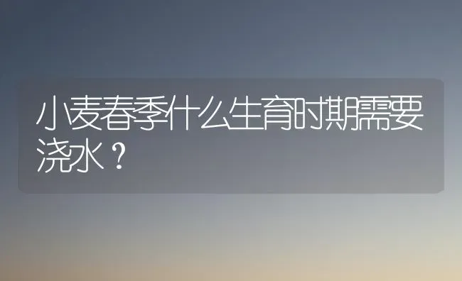 小麦春季什么生育时期需要浇水？ | 粮油作物种植