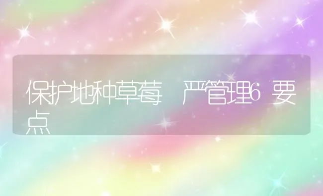 保护地种草莓 严管理6要点 | 瓜果种植