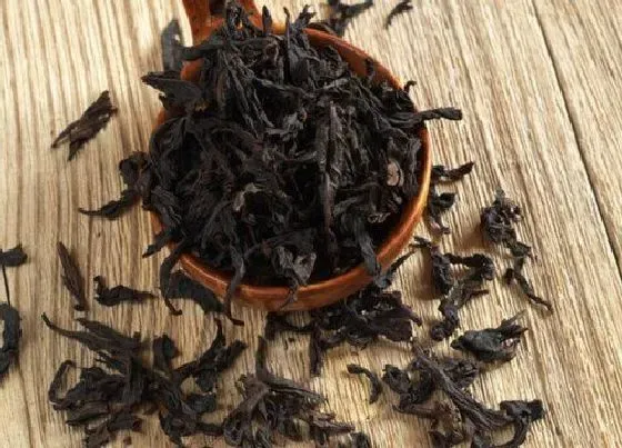 果实保存|大红袍保存方法和时间