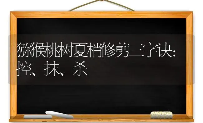 猕猴桃树夏梢修剪三字诀：控、抹、杀 | 瓜果种植