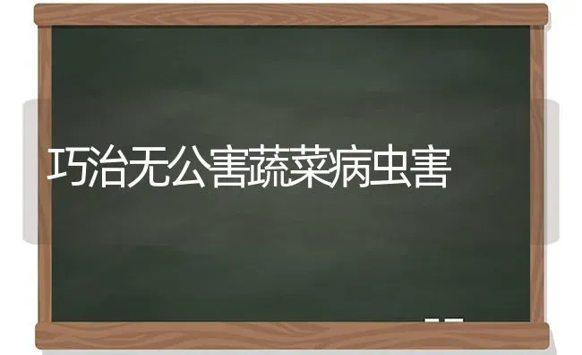 巧治无公害蔬菜病虫害 | 蔬菜种植