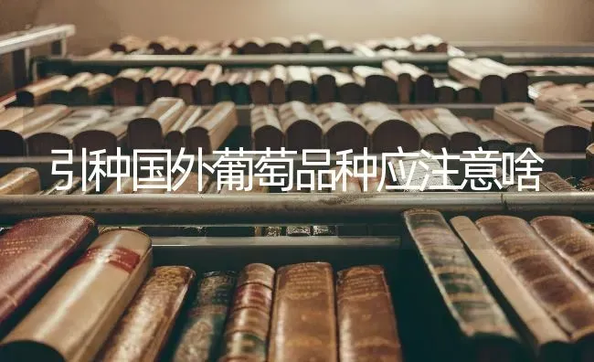 引种国外葡萄品种应注意啥 | 瓜果种植