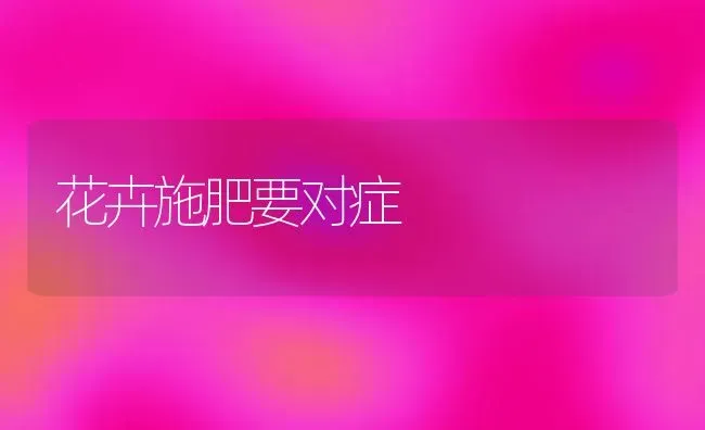 花卉施肥要对症 | 种植肥料施肥