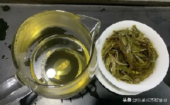 植物泡水|中国云南普洱十大名茶排名（顶级最好喝的普洱茶排行榜）