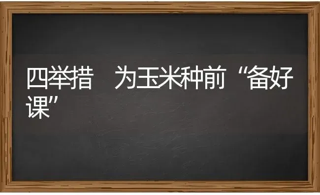 四举措 为玉米种前“备好课” | 粮油作物种植