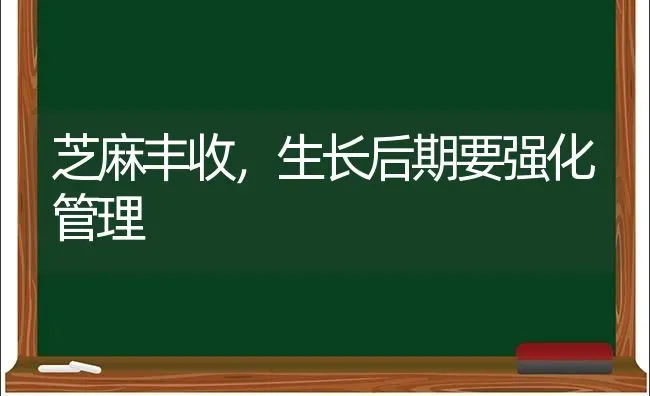 芝麻丰收，生长后期要强化管理 | 粮油作物种植